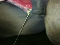 A Guy Fucked Female Horse in Ass Porn 2017 Part 1)